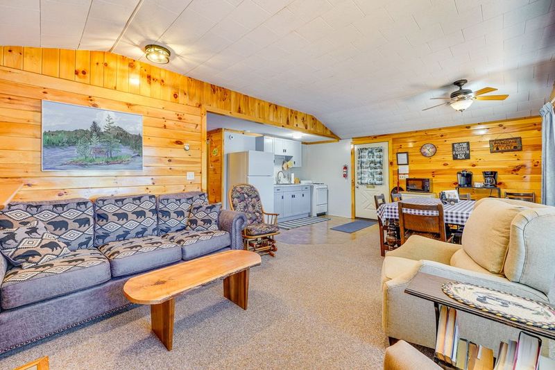 Open living area and kitchen